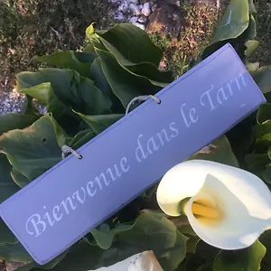 https://le-brensol.midi-pyreneeshotels.com